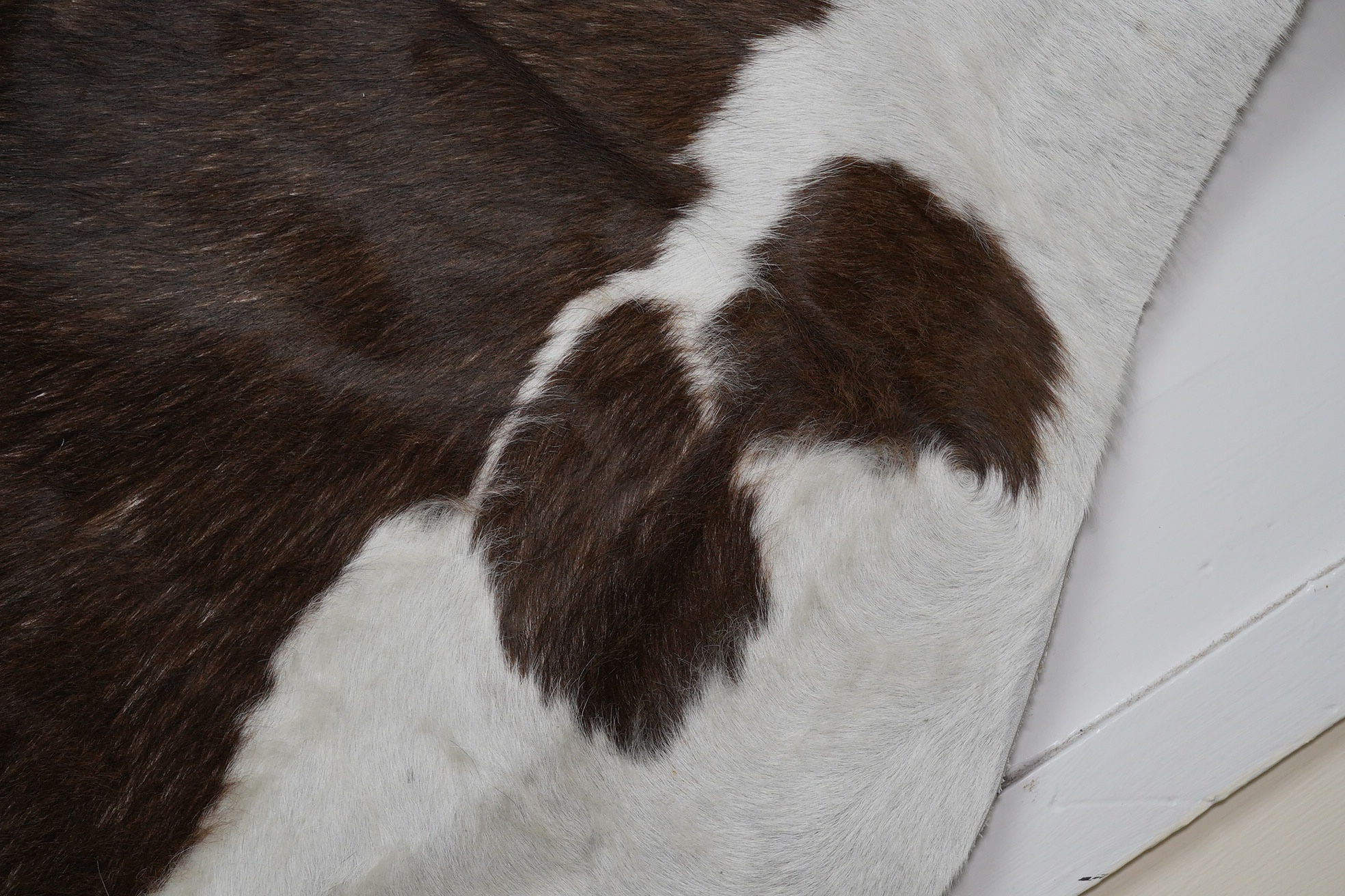 A brown and cream cowhide rug. Condition - fair, as per images